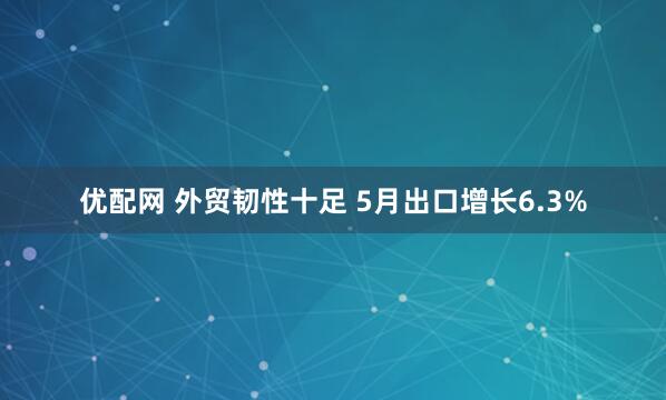 优配网 外贸韧性十足 5月出口增长6.3%