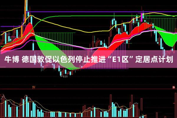 牛博 德国敦促以色列停止推进“E1区”定居点计划