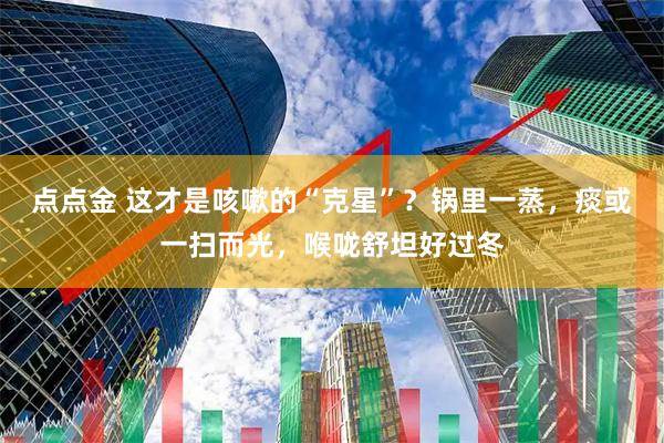 点点金 这才是咳嗽的“克星”？锅里一蒸，痰或一扫而光，喉咙舒坦好过冬