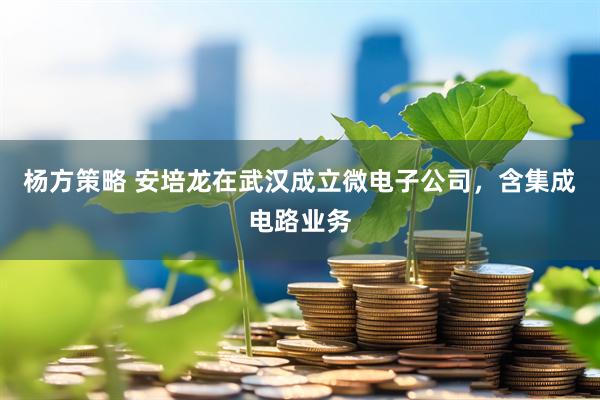 杨方策略 安培龙在武汉成立微电子公司，含集成电路业务