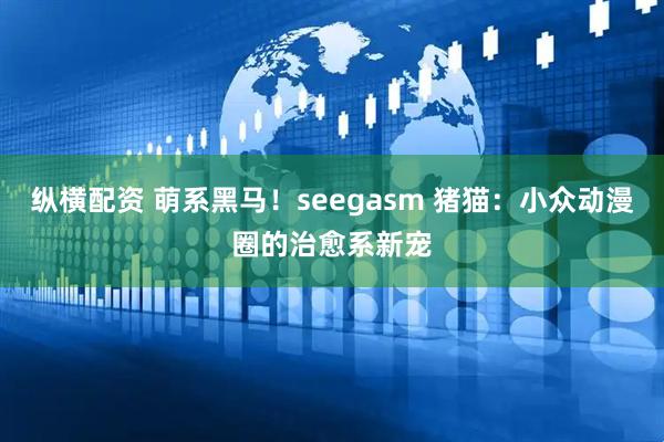 纵横配资 萌系黑马！seegasm 猪猫：小众动漫圈的治愈系新宠