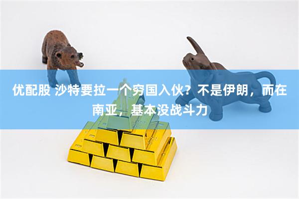 优配股 沙特要拉一个穷国入伙？不是伊朗，而在南亚，基本没战斗力