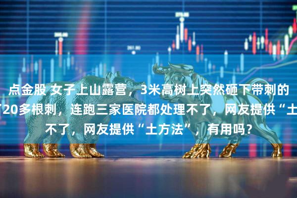 点金股 女子上山露营，3米高树上突然砸下带刺的“球”！手臂扎了20多根刺，连跑三家医院都处理不了，网友提供“土方法”，有用吗？